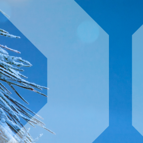 Winters kerstplaatje met VW beeldmerk