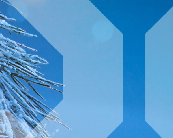 Winters kerstplaatje met VW beeldmerk